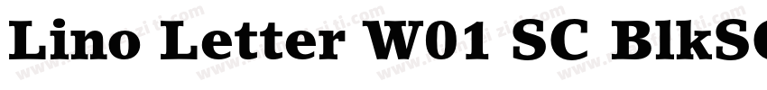Lino Letter W01 SC BlkSC Regular字体转换